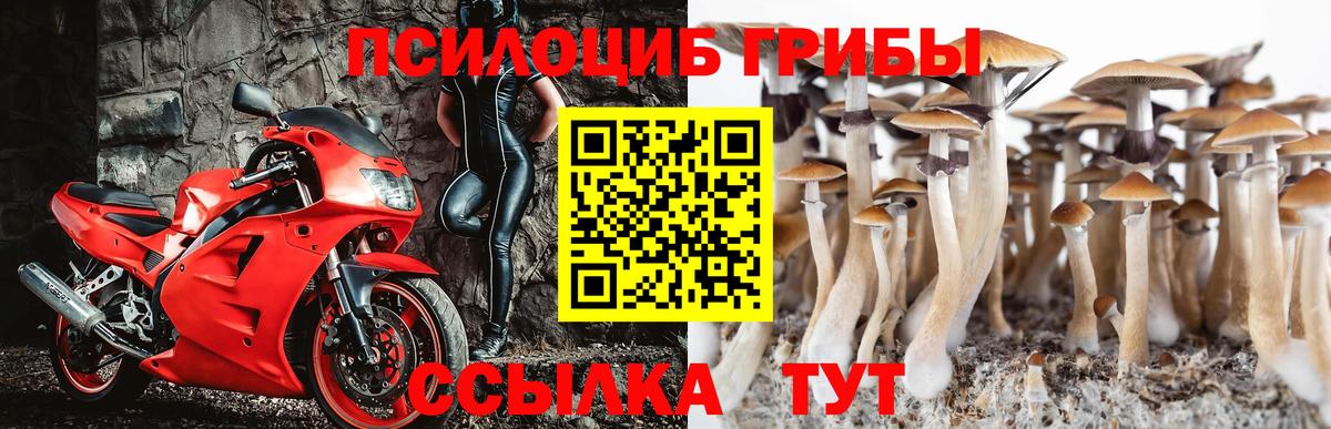 Псилоцибиновые грибы GOLDEN TEACHER Новый Уренгой